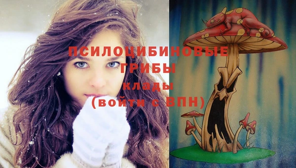 метамфетамин Богданович