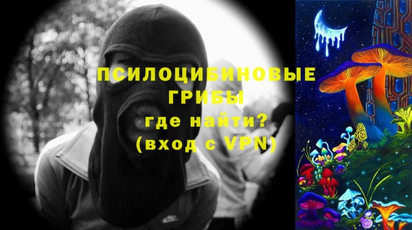 спиды Богородск
