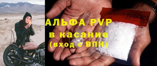 спиды Богородск