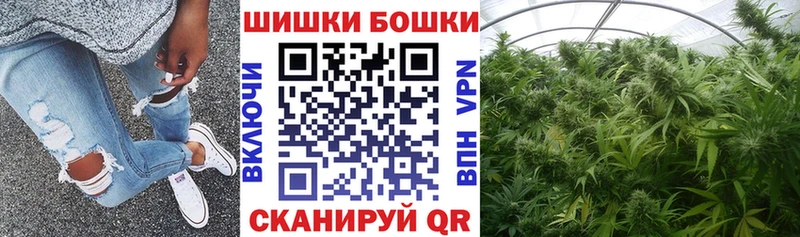 Каннабис Amnesia  Купить закладки  Волосово 